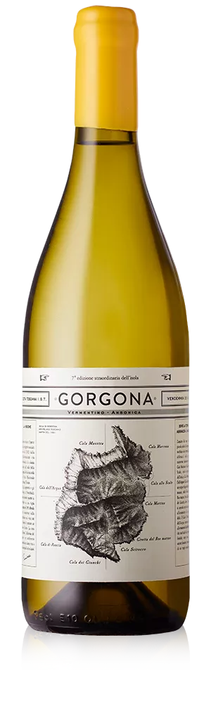 Gorgona