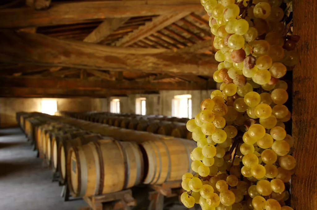 Cantina Pomino - Frescobaldi